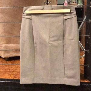 Express Pencil Skirt